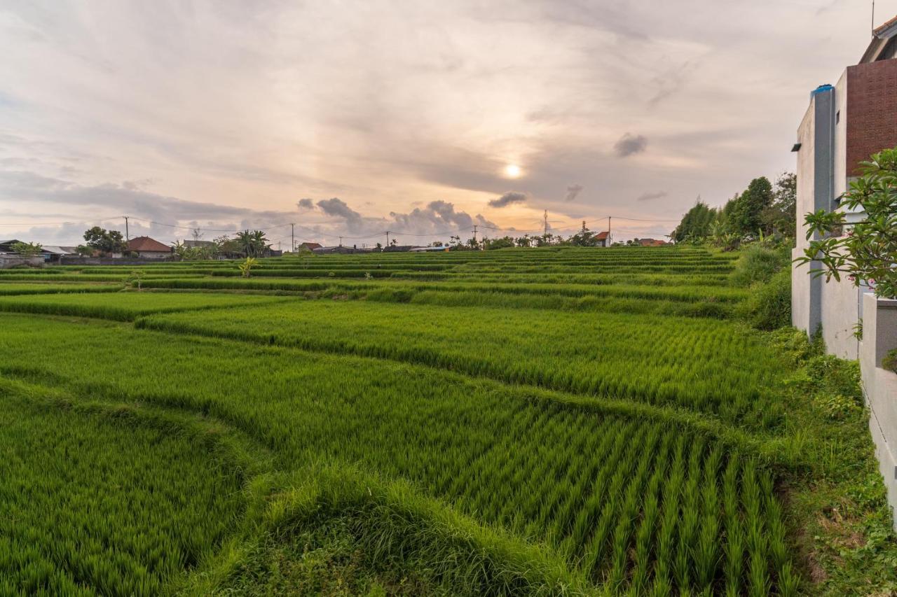 D'Macho Villas Ubud 외부 사진