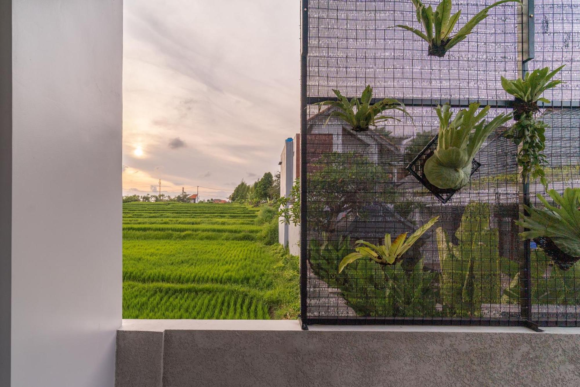 D'Macho Villas Ubud 외부 사진